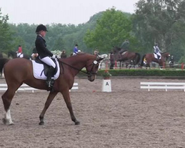 Reit - und Springturnier Hamm-Rhynern 2015