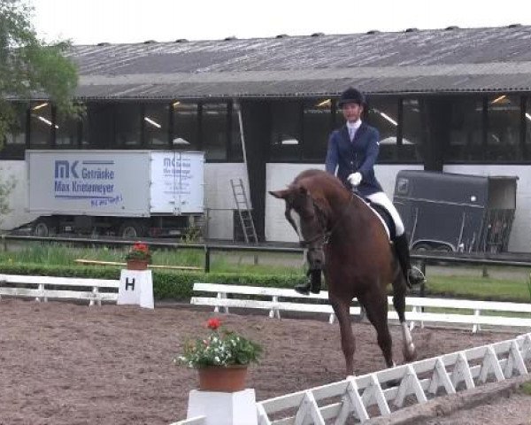 Reit - und Springturnier Hamm-Rhynern 2015