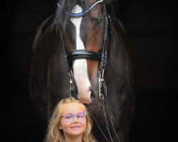 dressage horse My Skyfall (Westphalian, 2009, from Scolari)