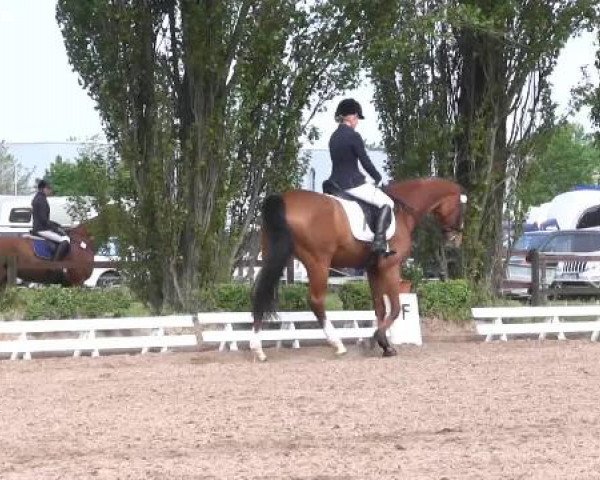 Reit - und Springturnier Hamm-Rhynern 2015