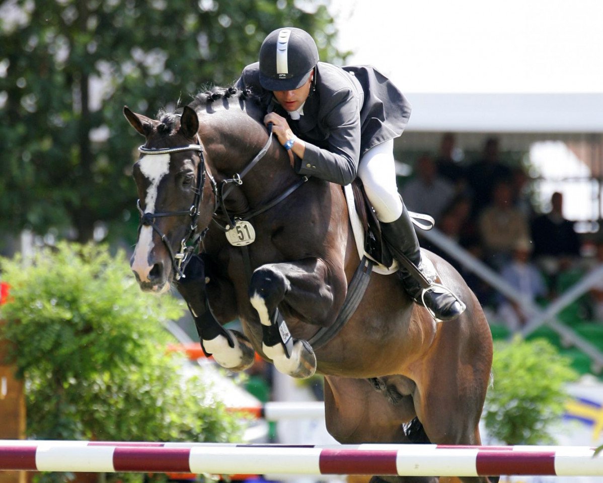 stallion Cabrol Amicor (Holsteiner, 1990, from Caletto I)