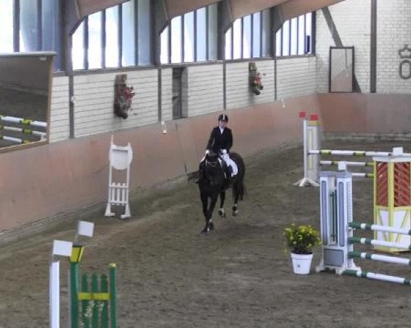 Reit - und Springturnier Hamm-Rhynern 2015