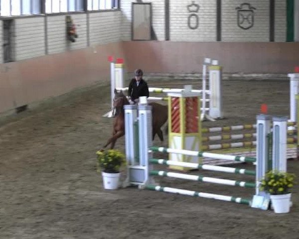 Reit - und Springturnier Hamm-Rhynern 2015