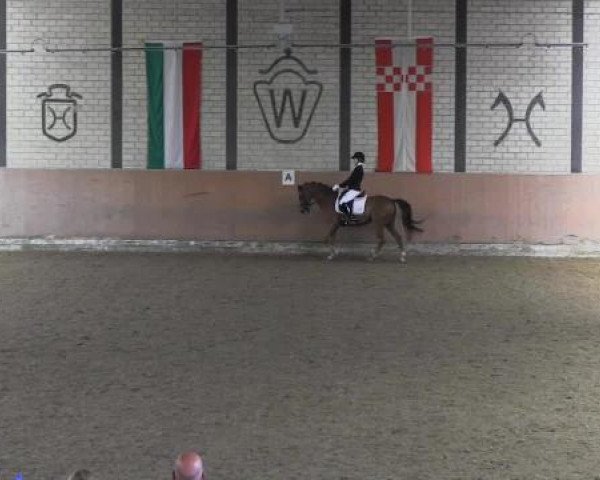 Reit - und Springturnier Hamm-Rhynern 2015
