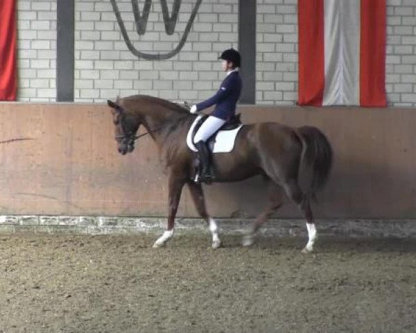 Reit - und Springturnier Hamm-Rhynern 2015