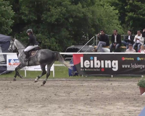 Großes Langenauer Reitturnier 2015