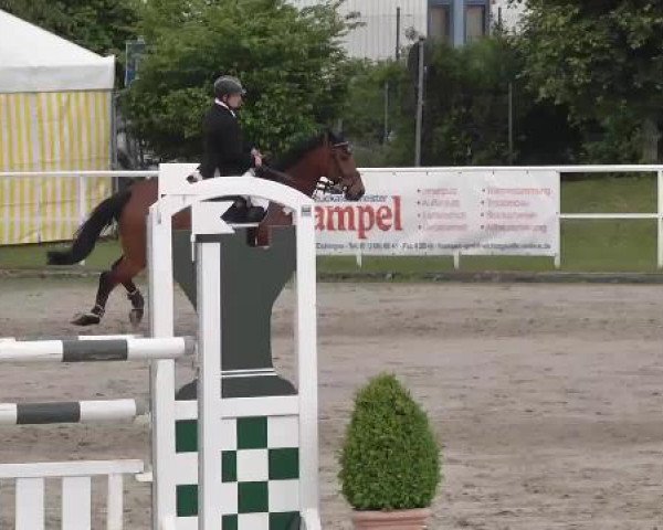 Großes Langenauer Reitturnier 2015