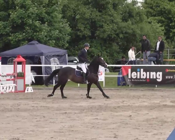 Großes Langenauer Reitturnier 2015