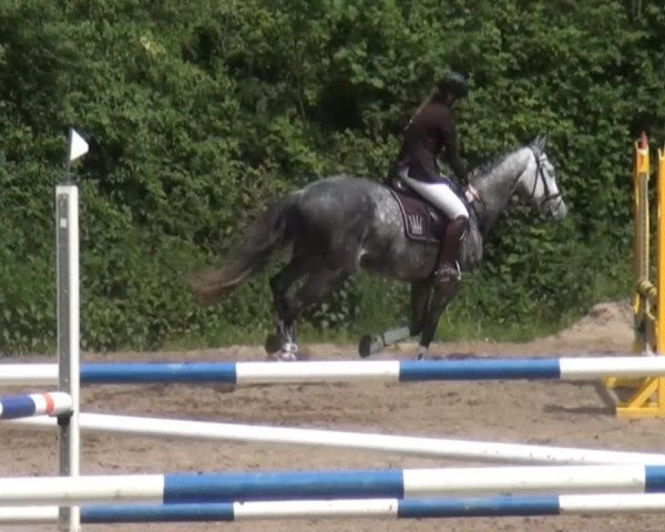 Reitturnier Krefeld-Hüls 2015