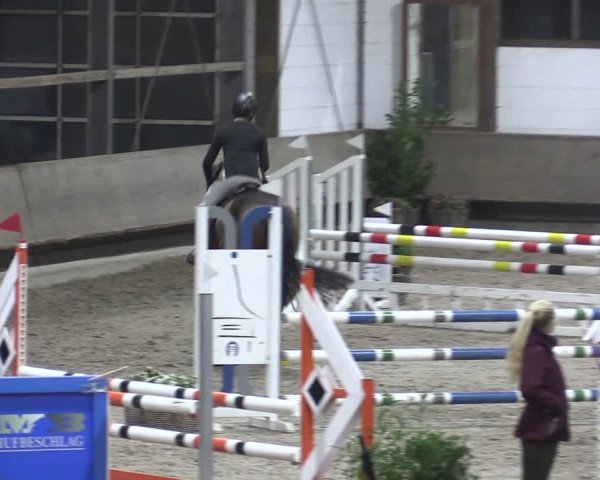 Reitturnier Langenfeld - Gut Langfort 2021