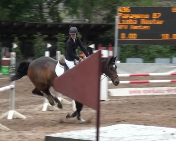 Reitturnier Krefeld-Hüls 2015