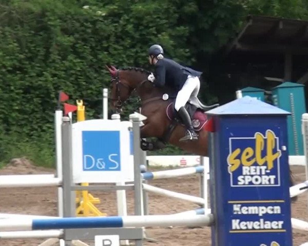 Reitturnier Krefeld-Hüls 2015