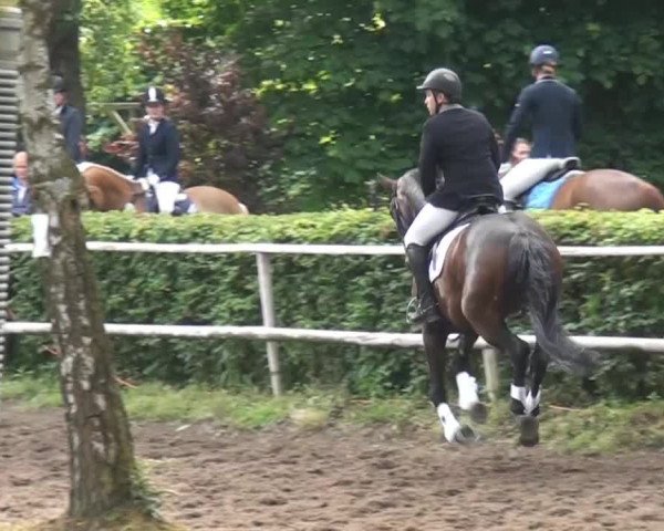 Reitturnier Krefeld-Hüls 2015
