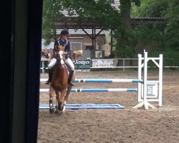 Reitturnier Krefeld-Hüls 2015