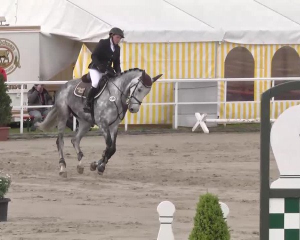 Großes Langenauer Reitturnier 2015