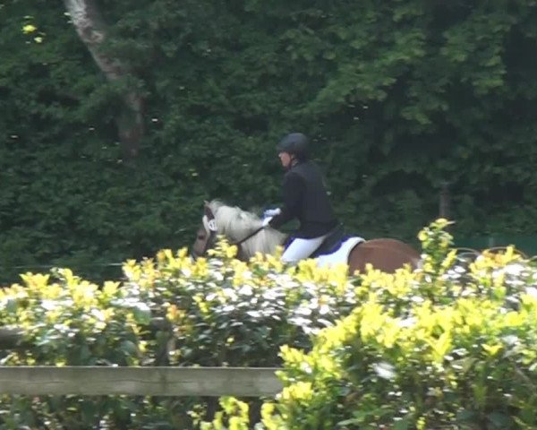 Reitturnier Krefeld-Hüls 2015