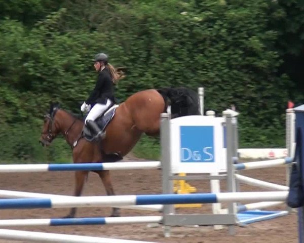 Reitturnier Krefeld-Hüls 2015
