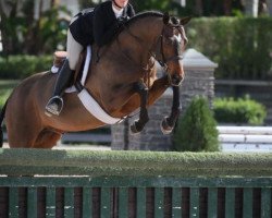 dressage horse Samba Rubiniero (German Sport Horse, 2011, from Samba Hit I)