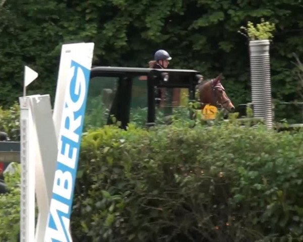 Reitturnier Krefeld-Hüls 2015