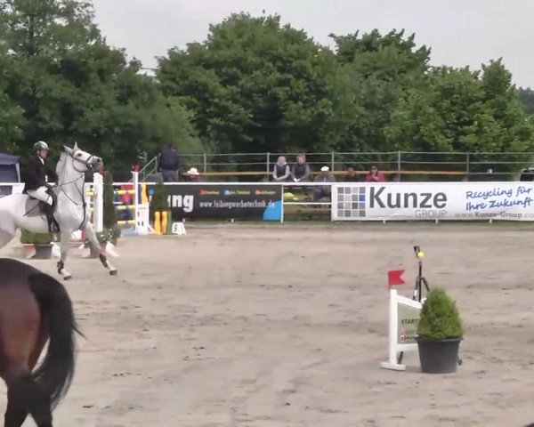 Großes Langenauer Reitturnier 2015