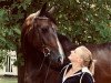 jumper Be Amazing (Oldenburg show jumper, 2014, from Balou du Rouet)