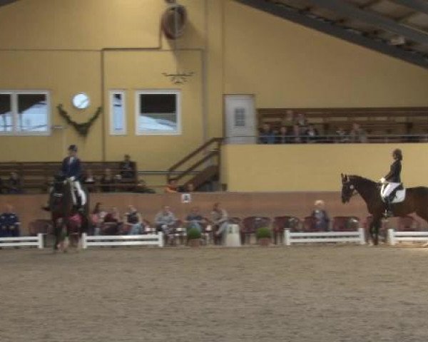 Frechen-Grefrath 2015