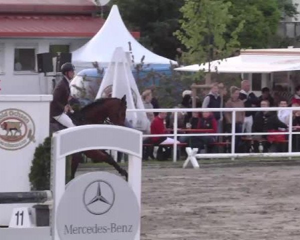 Großes Langenauer Reitturnier 2015