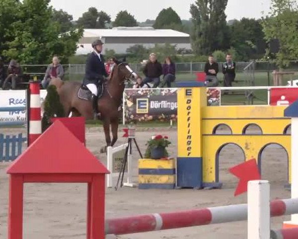 Großes Langenauer Reitturnier 2015
