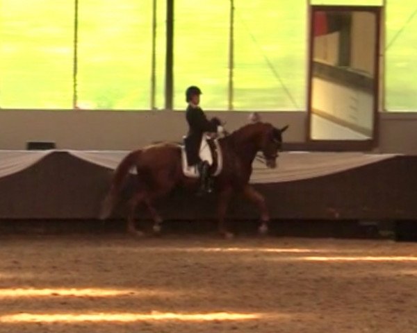 dressage horse Londissimo (Hanoverian, 2010, from Londontime)
