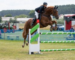 jumper Campino 281 (Hanoverian, 2003, from Couleur Rubin)