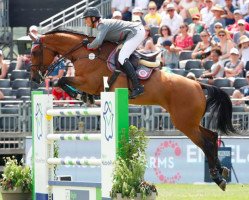 broodmare Chalanda (Oldenburg show jumper, 2005, from Chacco-Blue)