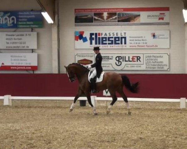 Pfingst - Dressur und Springturnier Borken 2015