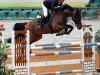 jumper Candyman 143 (German Sport Horse, 2012, from Cellestial)