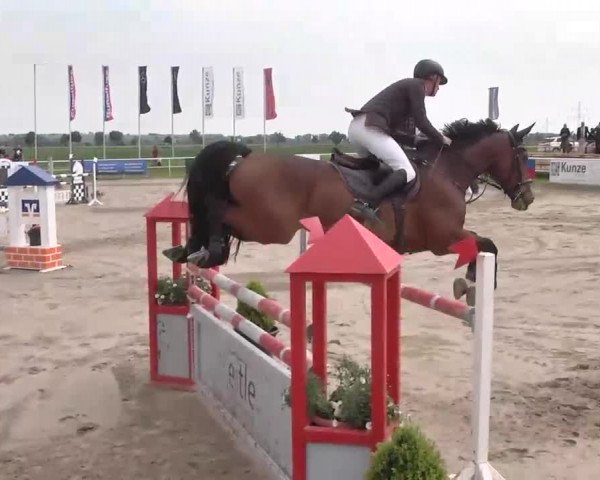 Großes Langenauer Reitturnier 2015