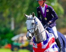 jumper Disckoboy D.N. (KWPN (Royal Dutch Sporthorse), 2008, from Douglas)