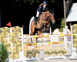 jumper Corazon Bowi (KWPN (Royal Dutch Sporthorse), 2007, from Cantos)