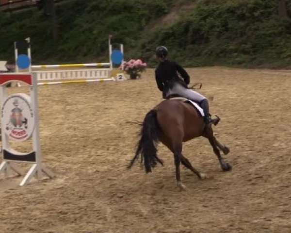 Iserlohn-Kalthof 2015