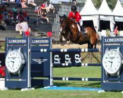 jumper Hyperion van Orti (Belgian Warmblood, 2007, from Dawson van de Padenborre)