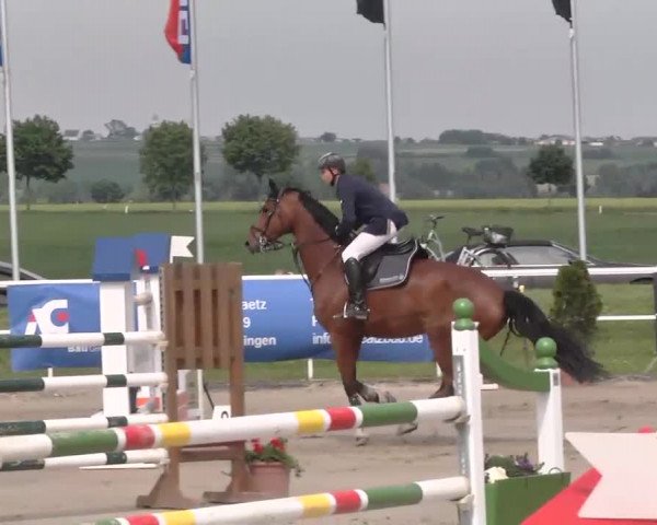 Großes Langenauer Reitturnier 2015
