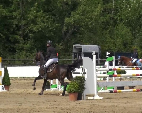 Frechen-Grefrath 2015