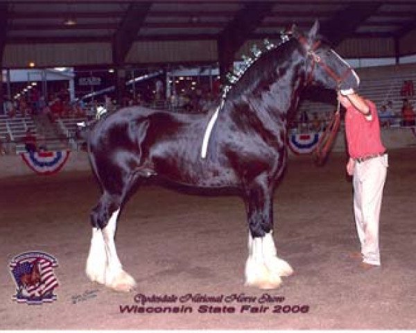 Pferd Renaissance Prince Arian (Clydesdale, 2003, von Armageddon's Lord Caleb)