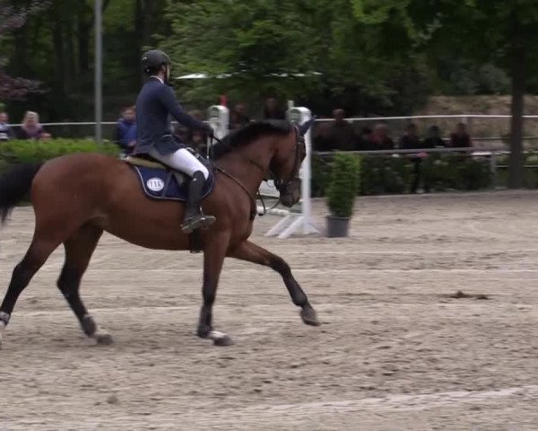 Pfingstturnier Bochum-Nord 2015