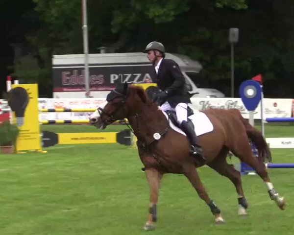 Pfingst - Dressur und Springturnier Borken 2015