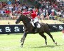 Springpferd Galoubet Fravanca (Belgisches Warmblut, 2006, von Caretino)