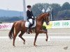 dressage horse Senorita Heinrich (Westphalian, 2015, from Sir Heinrich OLD)