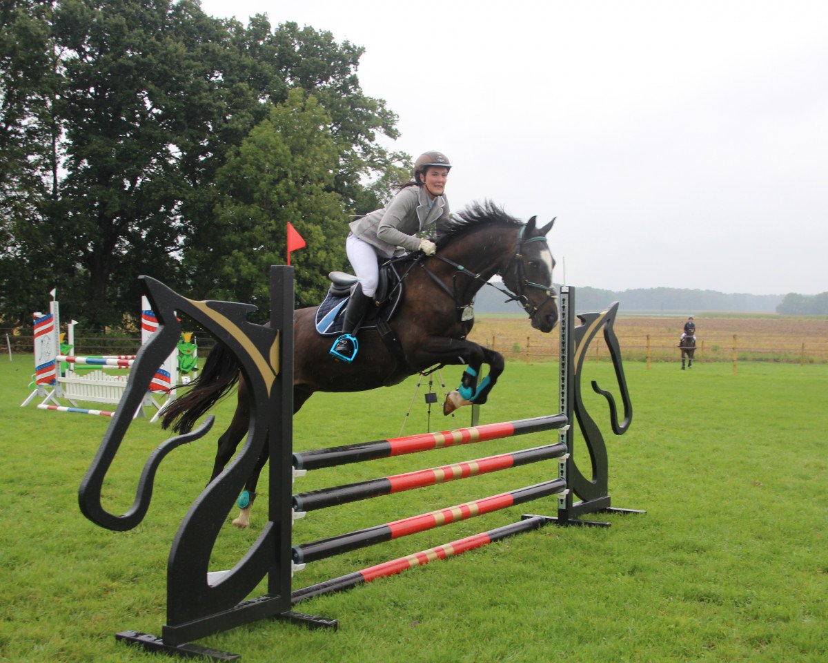 jumper Sambuca 89 (Hungarian Warmblood, 2011)