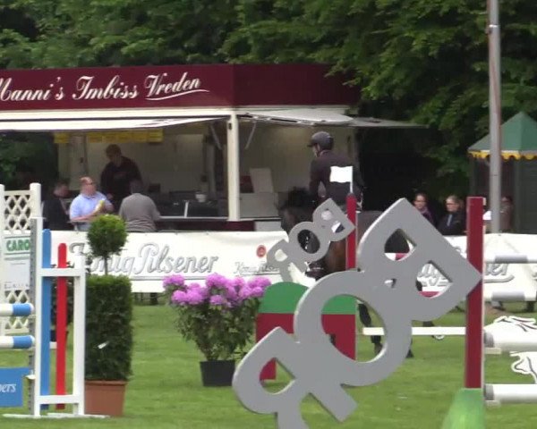 Pfingst - Dressur und Springturnier Borken 2015