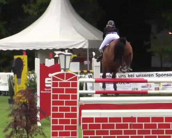 Pfingst - Dressur und Springturnier Borken 2015