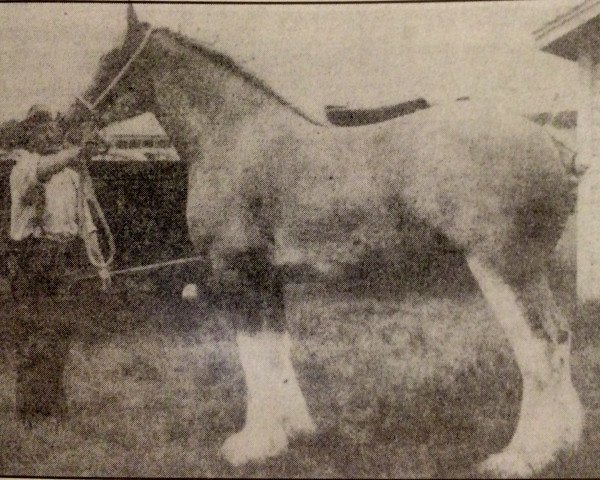 broodmare Refiner's Maid (Clydesdale,  , from Gallant Refiner 28123)