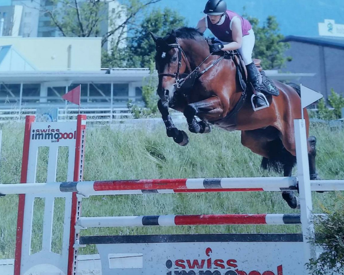 Springpferd Stolzi van Alfen (Westfale, 2011, von Stolzenberg)